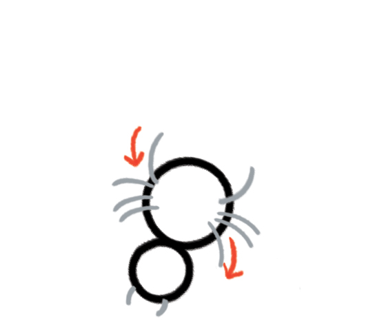 song-circlesong-06.jpg